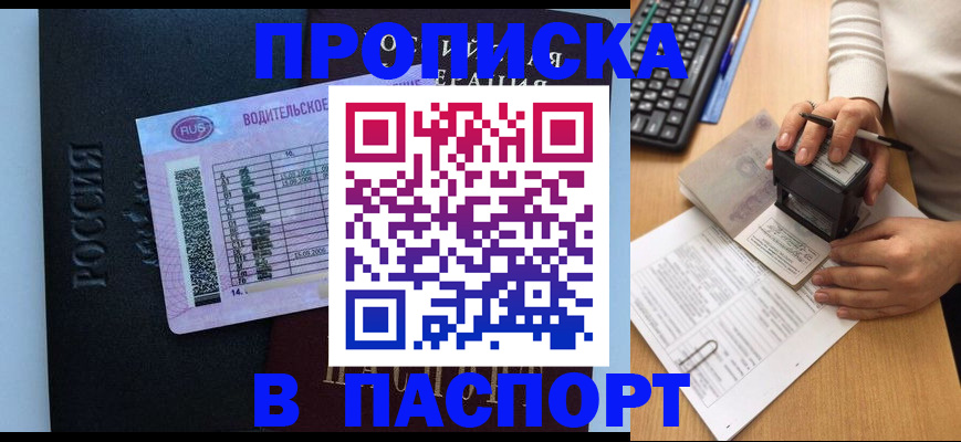 пропишу в квартире в Клинцах